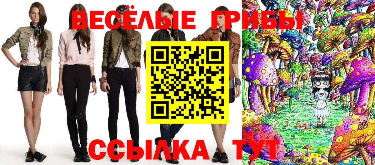 Галлюциногенные грибы Psilocybine cubensis Медногорск