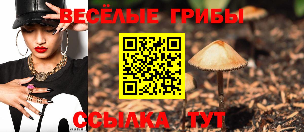 Медногорск  Галлюциногенные грибы Psilocybine cubensis  Вход с VPN 